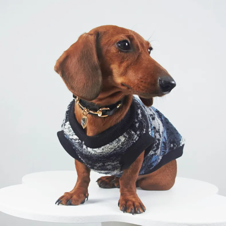 Blue geometric pattern thick warm pet vest on small dog, autumn winter clothing
