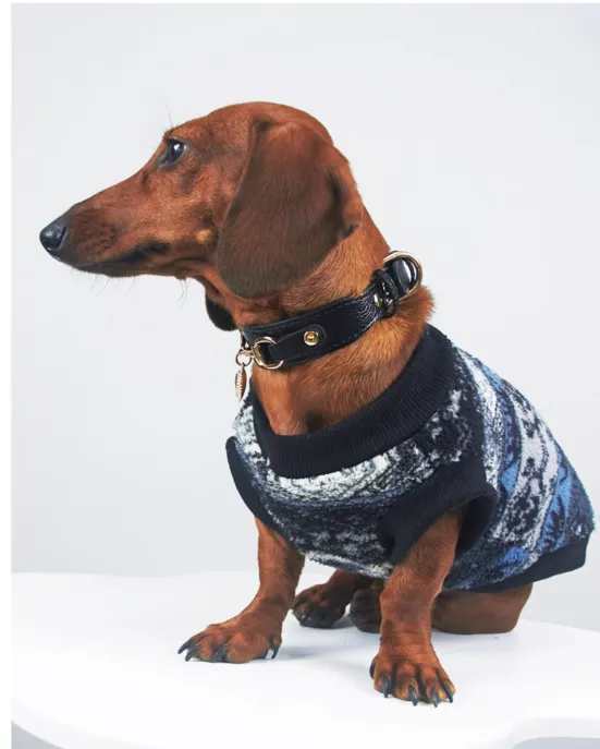 Blue geometric pattern thick warm pet vest on small dog, autumn winter clothing
