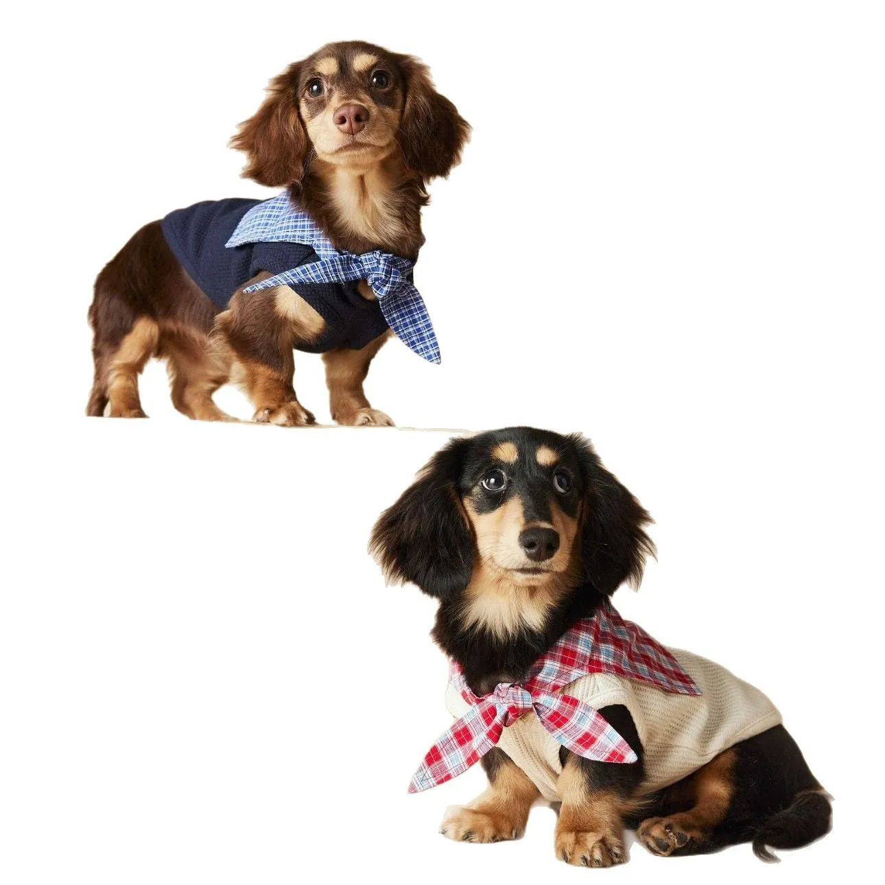Sailor collar sleeveless dog vest in beige polyester, side view on a small breed dog