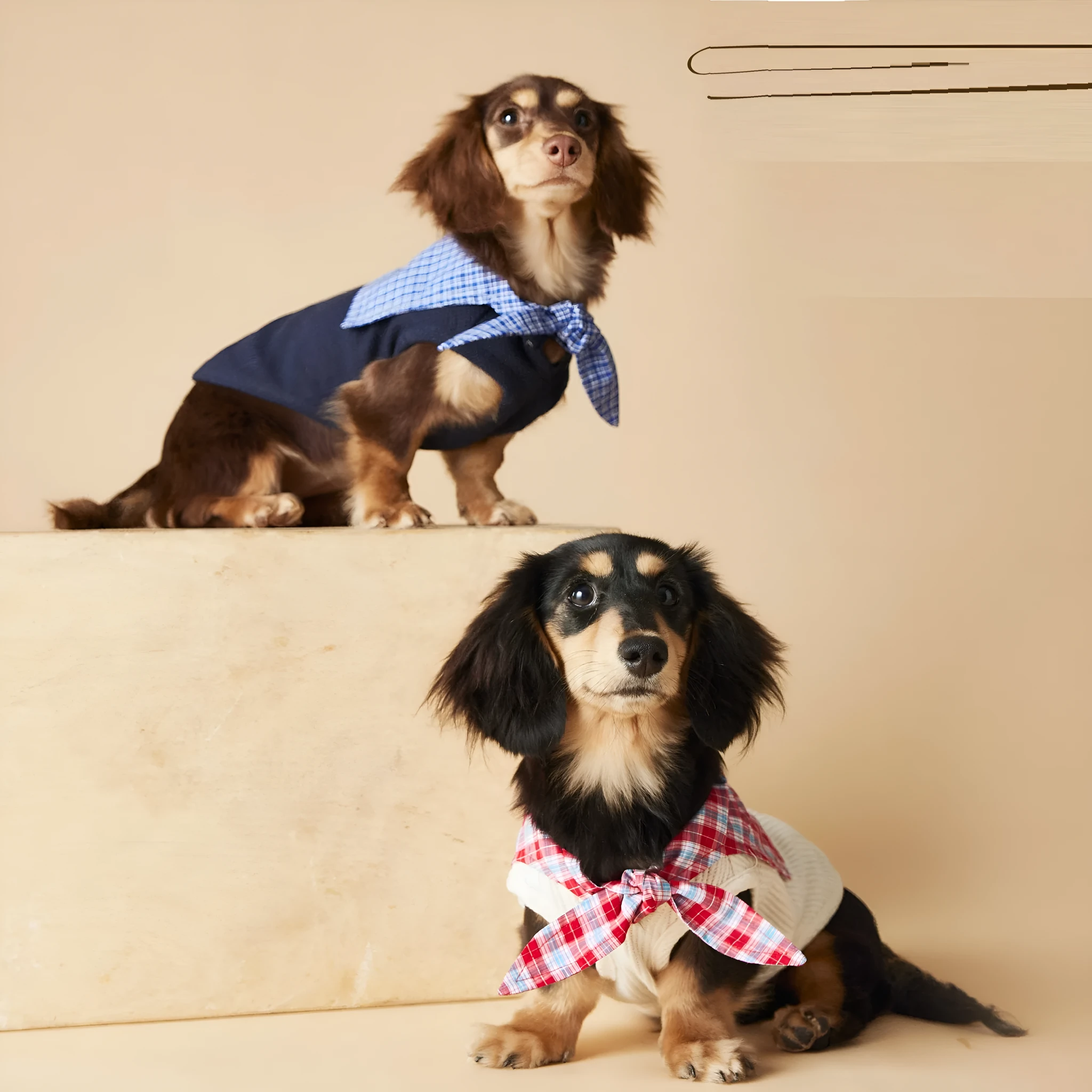 Sailor collar sleeveless dog vest in beige polyester, side view on a small breed dog