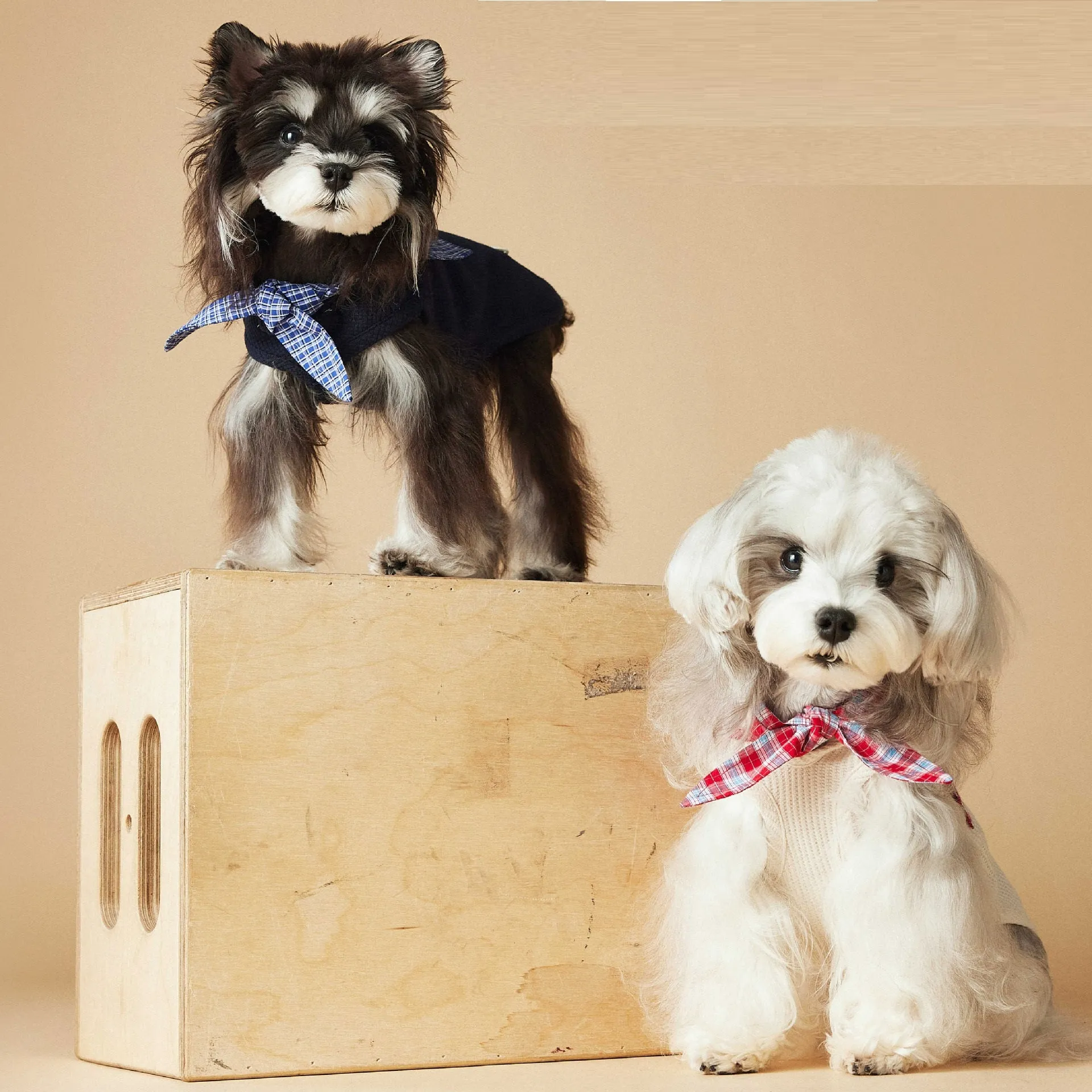 Sailor collar sleeveless dog vest in beige polyester, side view on a small breed dog