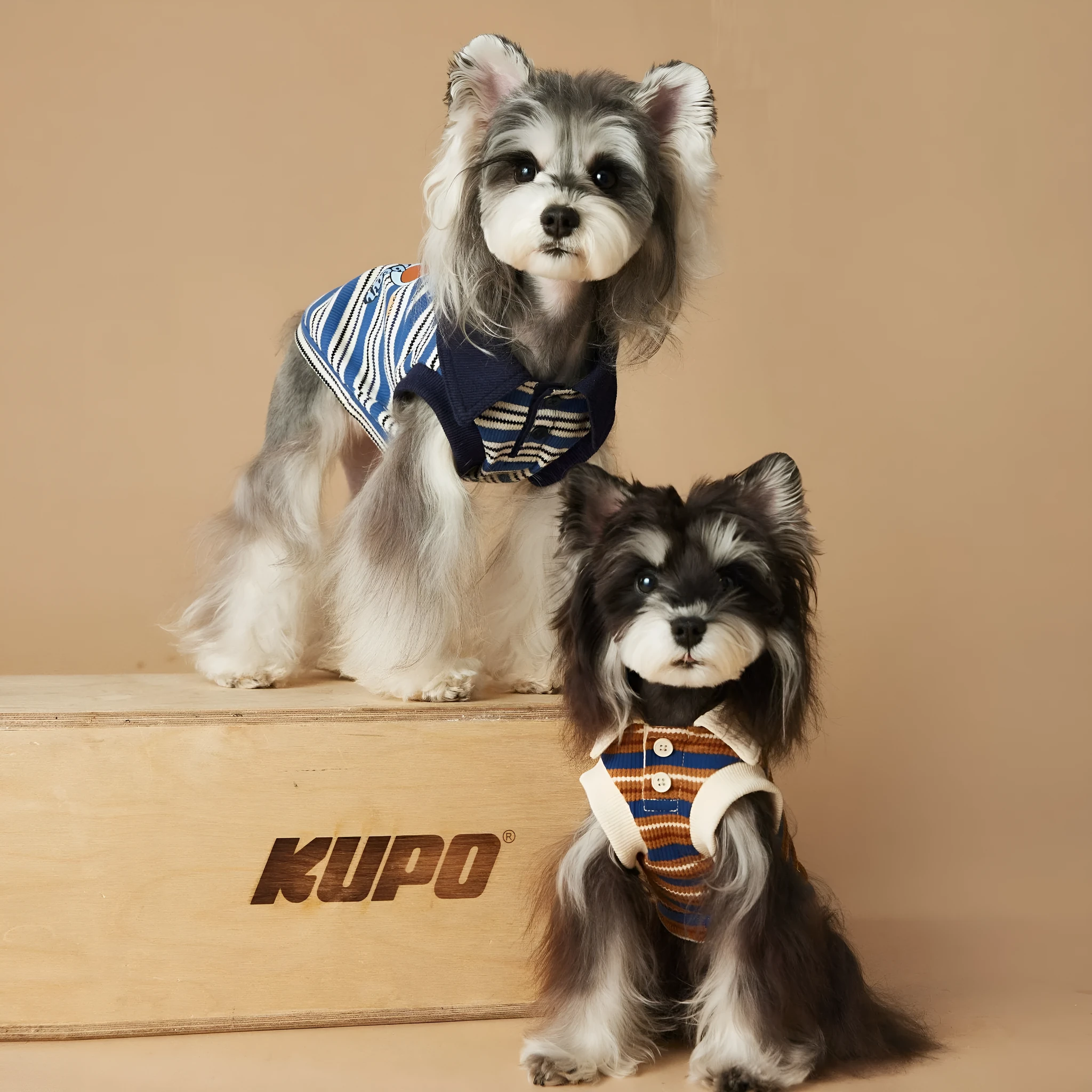 Tony Bear dog clothes striped polo shirt in cotton, blue colour, size L, on a white background