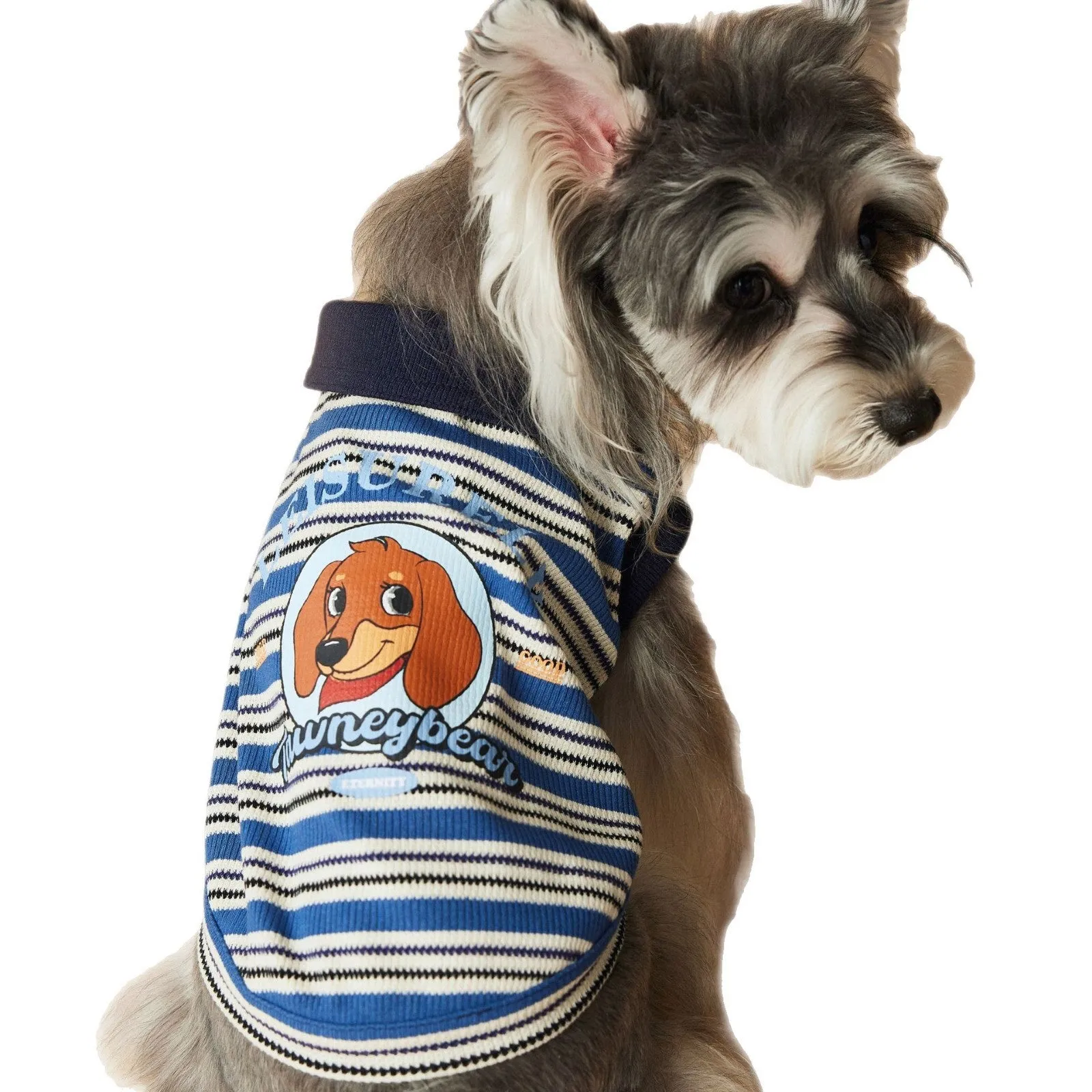 Tony Bear dog clothes striped polo shirt in cotton, blue colour, size L, on a white background