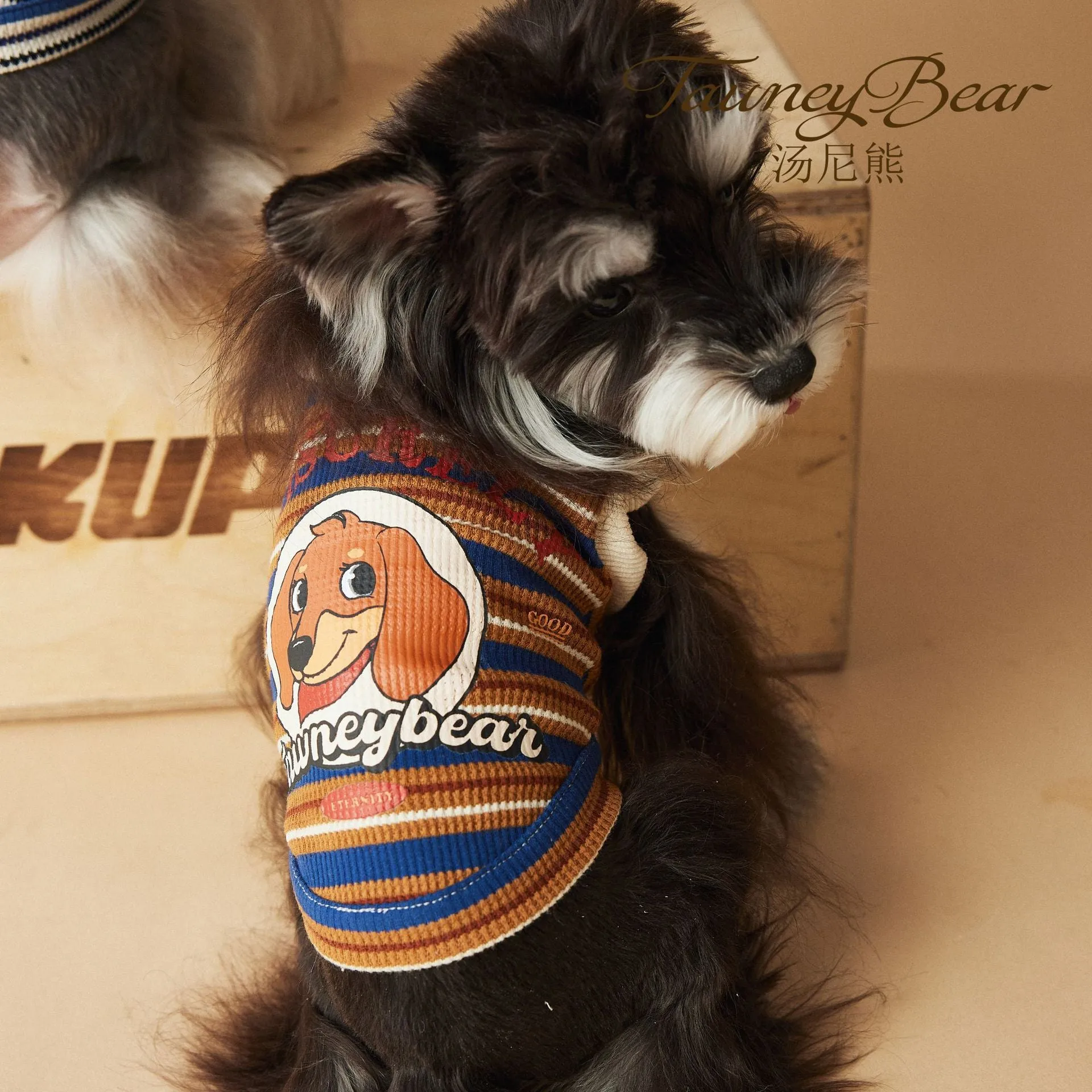 Tony Bear dog clothes striped polo shirt in cotton, blue colour, size L, on a white background