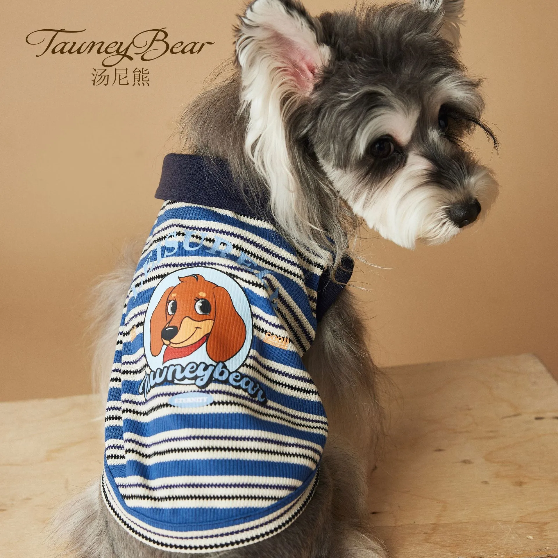 Tony Bear dog clothes striped polo shirt in cotton, blue colour, size L, on a white background