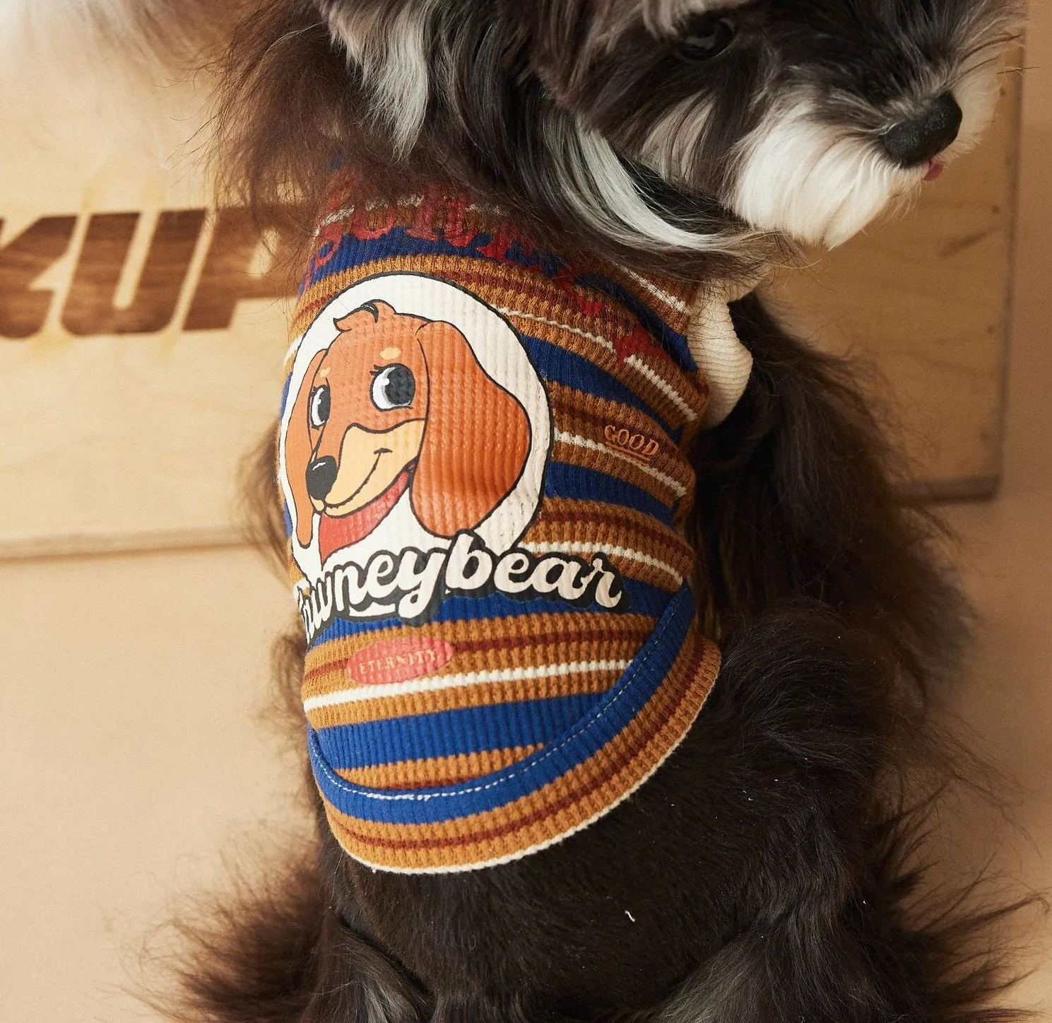 Tony Bear dog clothes striped polo shirt in cotton, blue colour, size L, on a white background