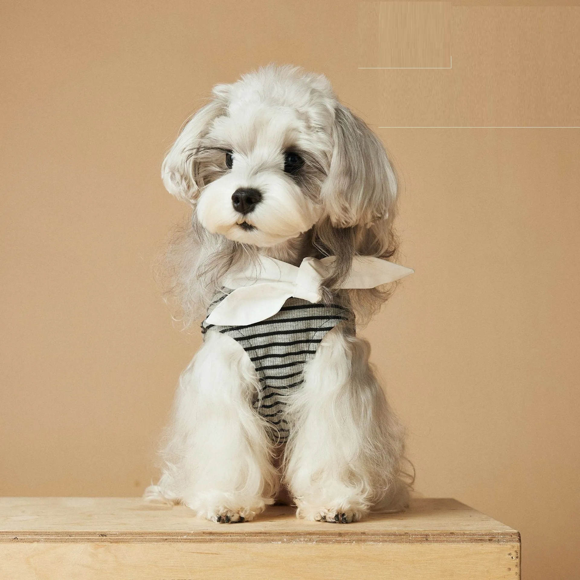 Striped polyester dog dress in skirt colour for female dogs, available in multiple sizes from XS to XXL