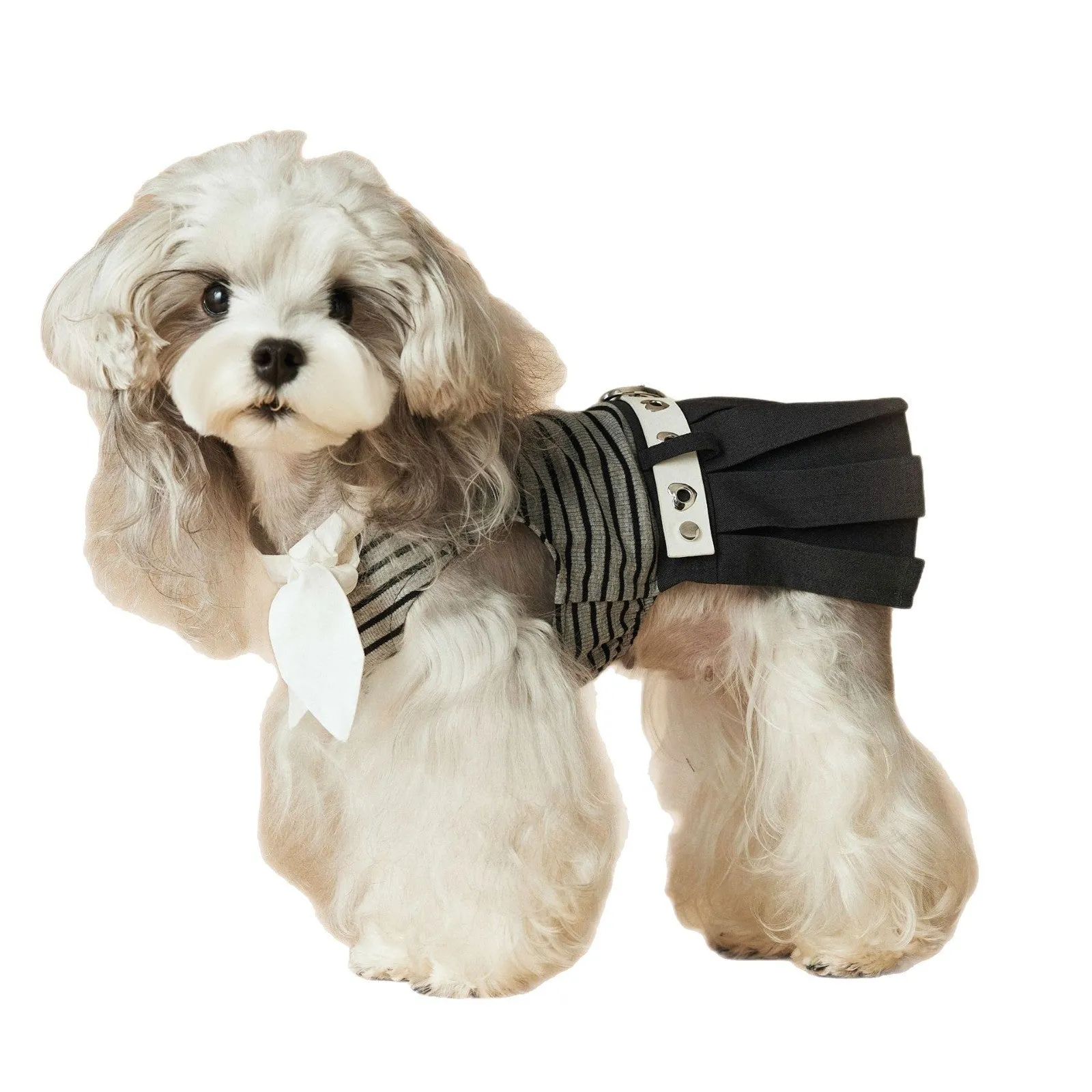 Striped polyester dog dress in skirt colour for female dogs, available in multiple sizes from XS to XXL