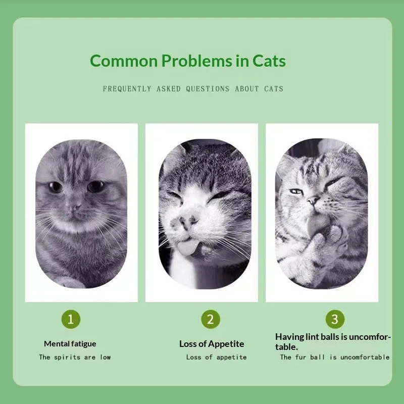 Catnip cat snack in a 1g bag, featuring mint powder for hairball removal and oral cleaning