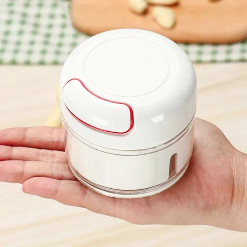 Compact manual food chopper with plastic housing and stainless steel blades for vegetable preparation