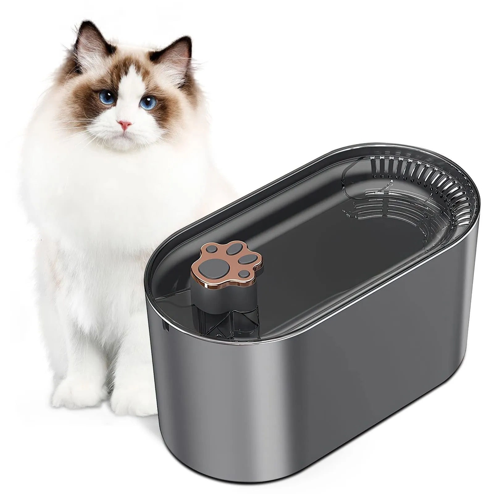 3L automatic pet water fountain with triple filtration system in Berlin blue colour