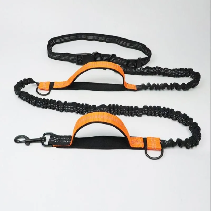 Blue adjustable dog running belt with waist attachment and retractable leash on a grey background.