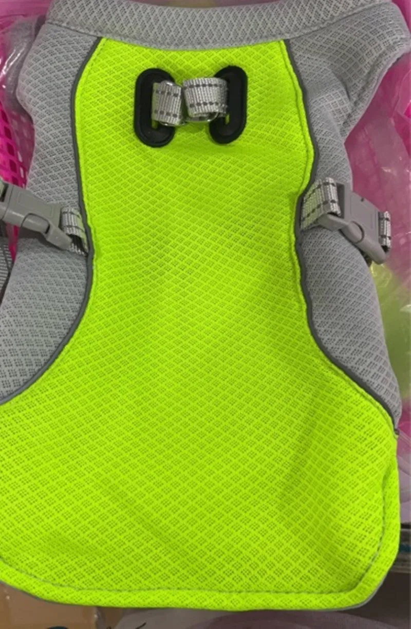 Dog wearing orange cooling vest with heat reflective outer layer and UV protection, designed for outdoor walks in summer
