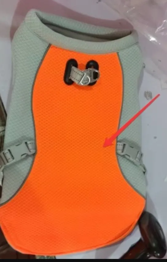 Dog wearing orange cooling vest with heat reflective outer layer and UV protection, designed for outdoor walks in summer