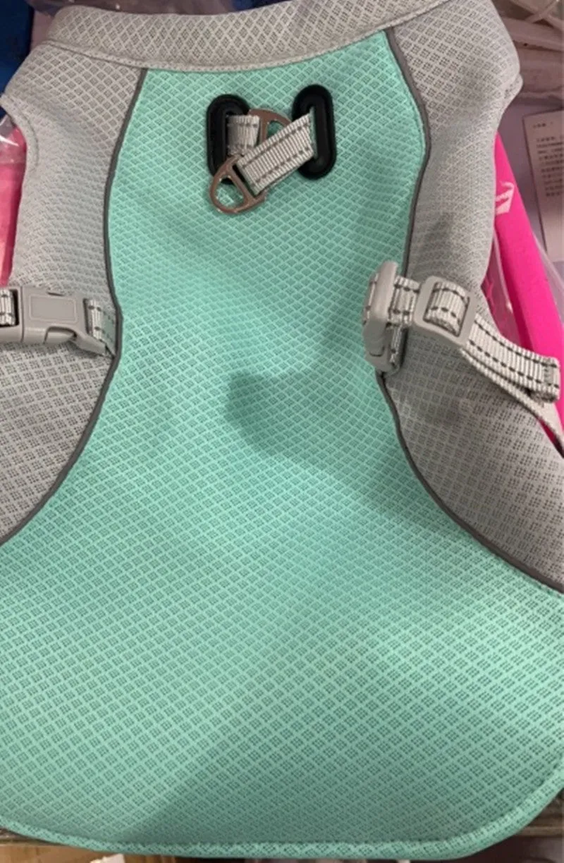 Dog wearing orange cooling vest with heat reflective outer layer and UV protection, designed for outdoor walks in summer