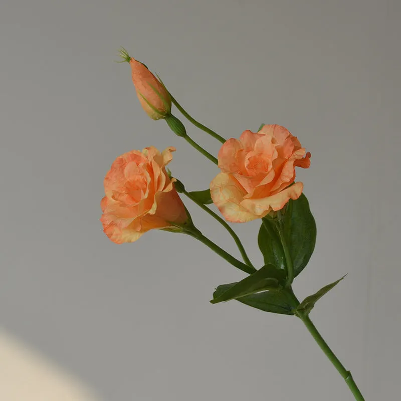 Artificial silk eustoma flower with three heads beige wedding home decoration