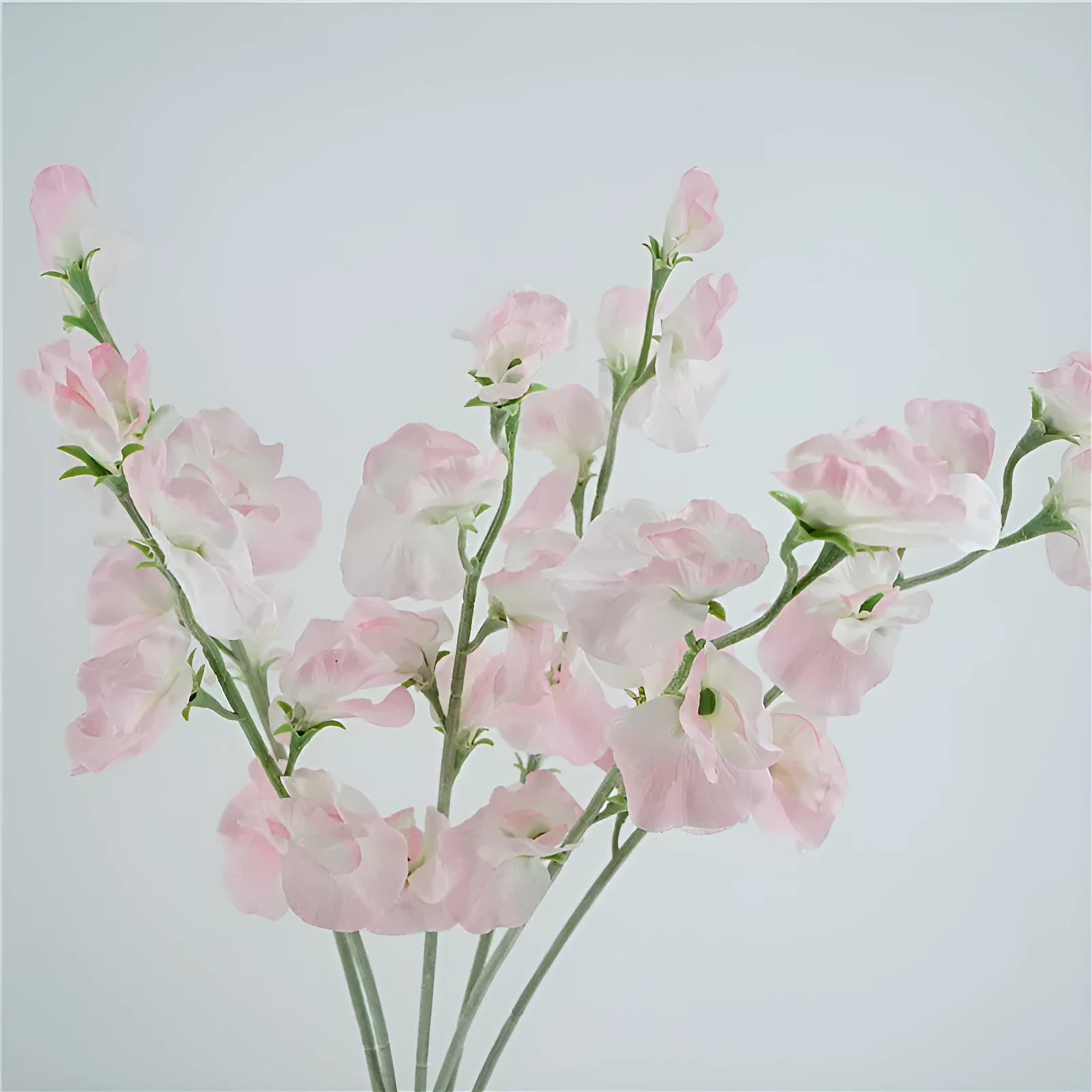 Silk artificial pea flower single stem in pink with green wire stem on white background