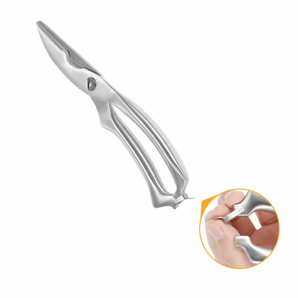 Silver stainless steel poultry shears 9.8 inch with serrated blade and bone notch on cutting board