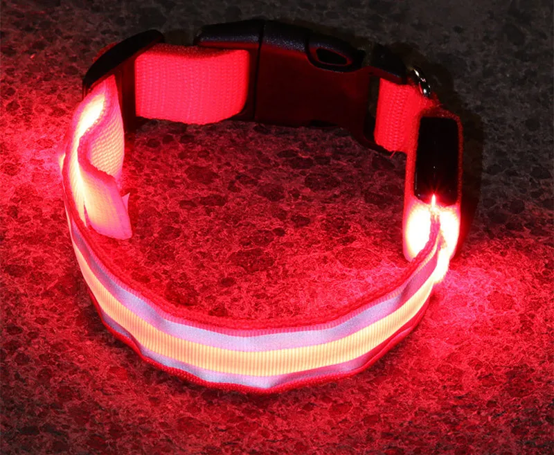 Anti-lost LED luminous dog collar on dog, nylon webbing, monochrome pattern