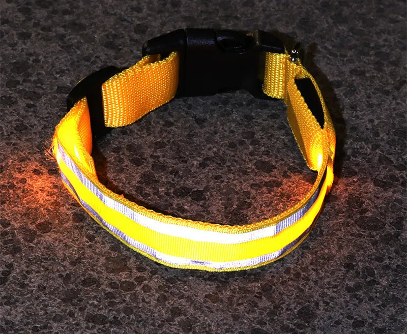 Anti-lost LED luminous dog collar on dog, nylon webbing, monochrome pattern