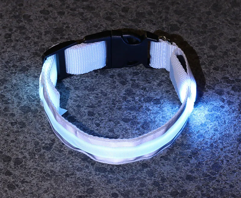 Anti-lost LED luminous dog collar on dog, nylon webbing, monochrome pattern