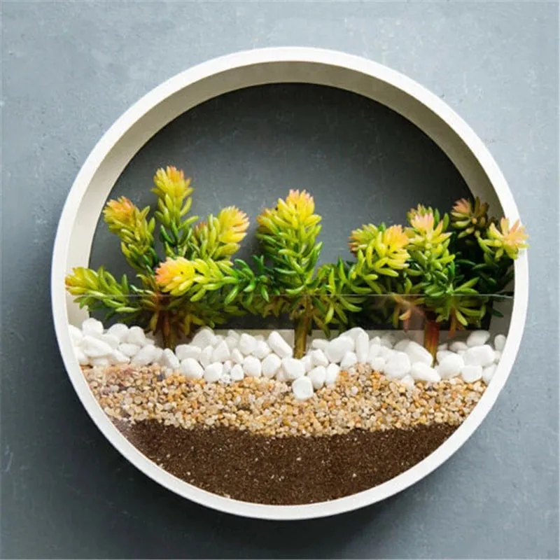 Round iron wall vase in black hanging on a wall with a succulent plant inside