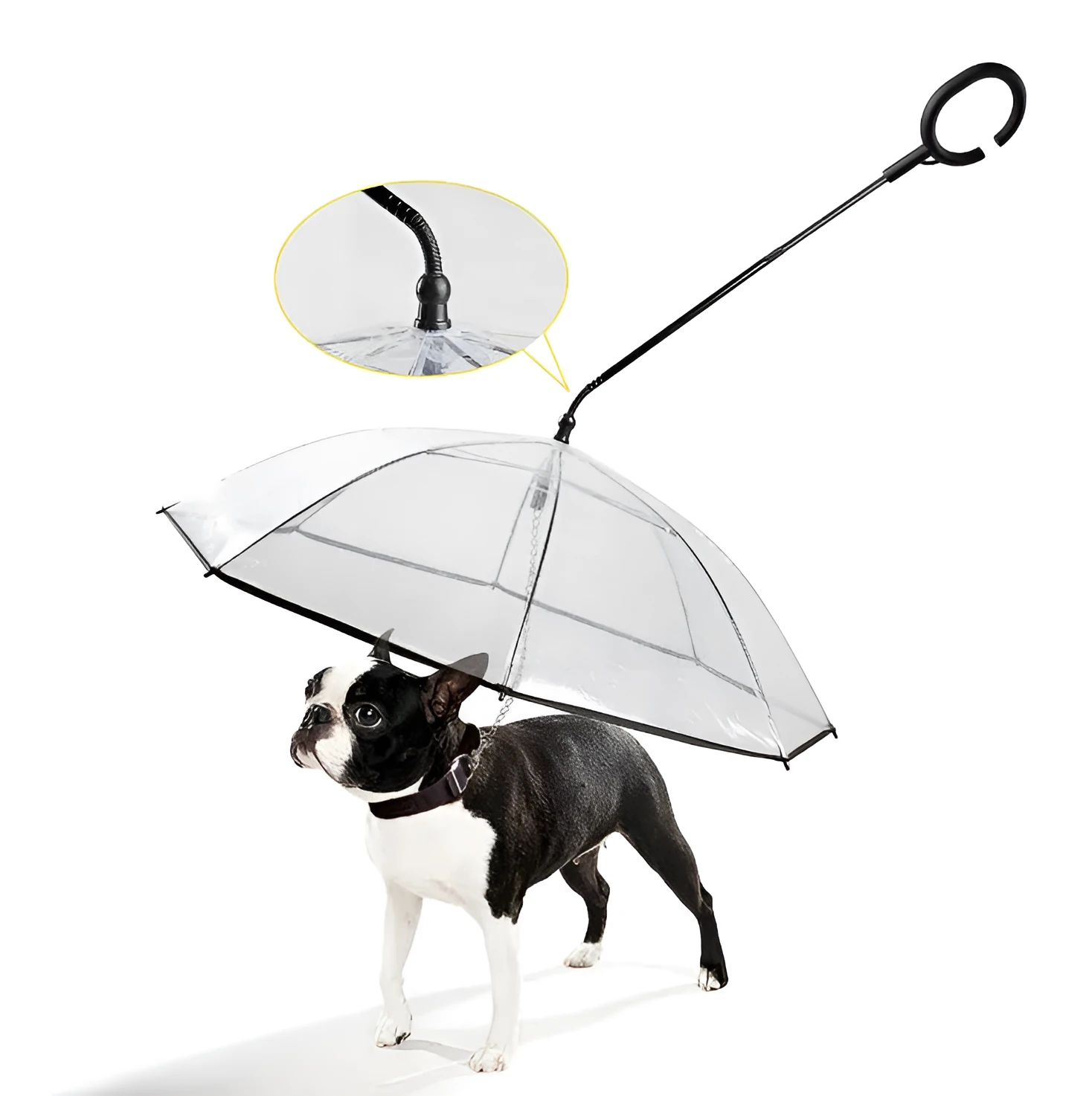 White transparent pet C type umbrella with adjustable steering and C-shaped handle