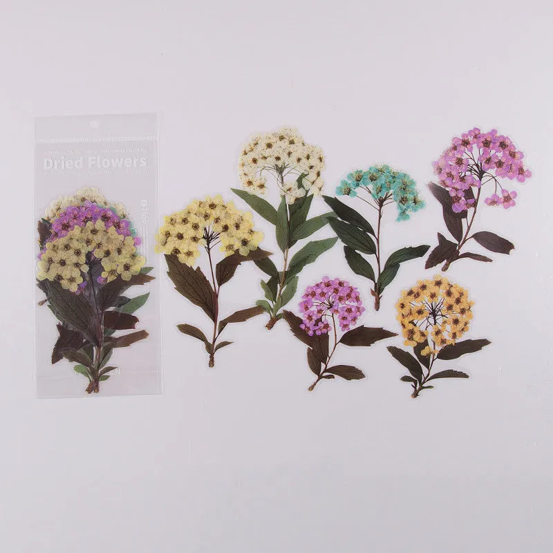 Weekend Flowers PET deco stickers sheet featuring eight floral and nature patterns, within 110x200mm, for scrapbooking and bullet journal DIY stationery