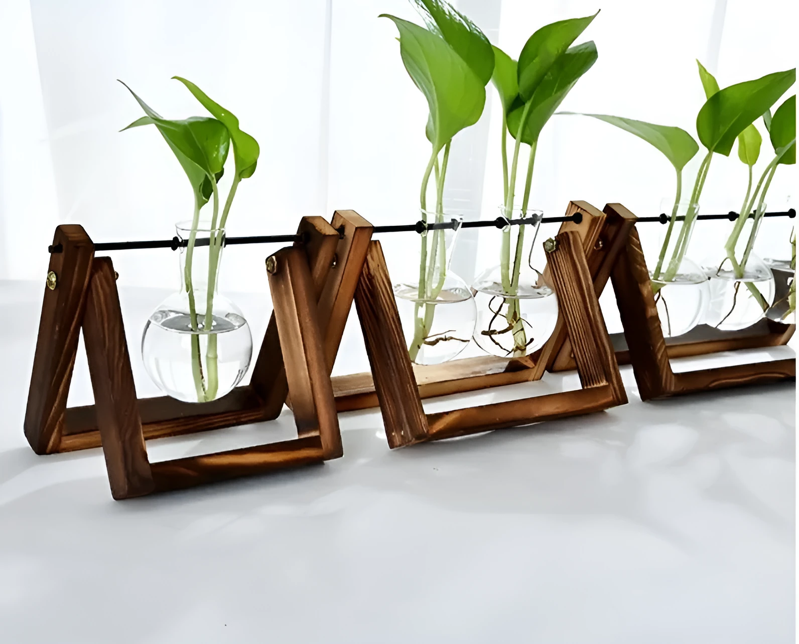 Set of three glass tabletop terrariums with miniature greenery on a shelf