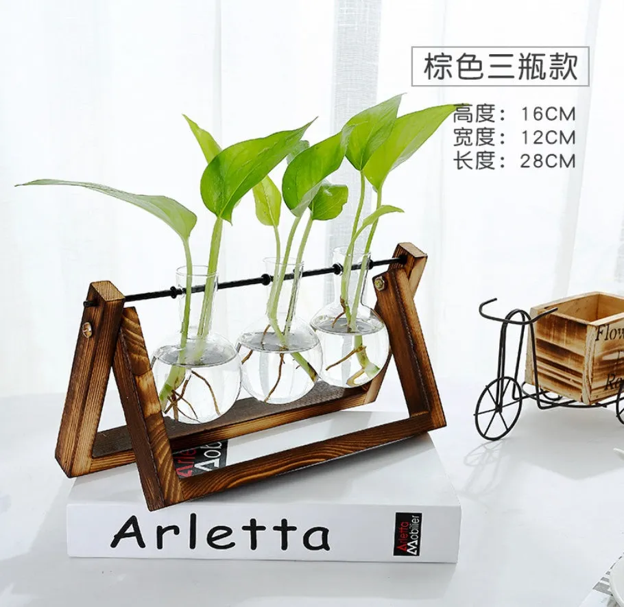 Set of three glass tabletop terrariums with miniature greenery on a shelf
