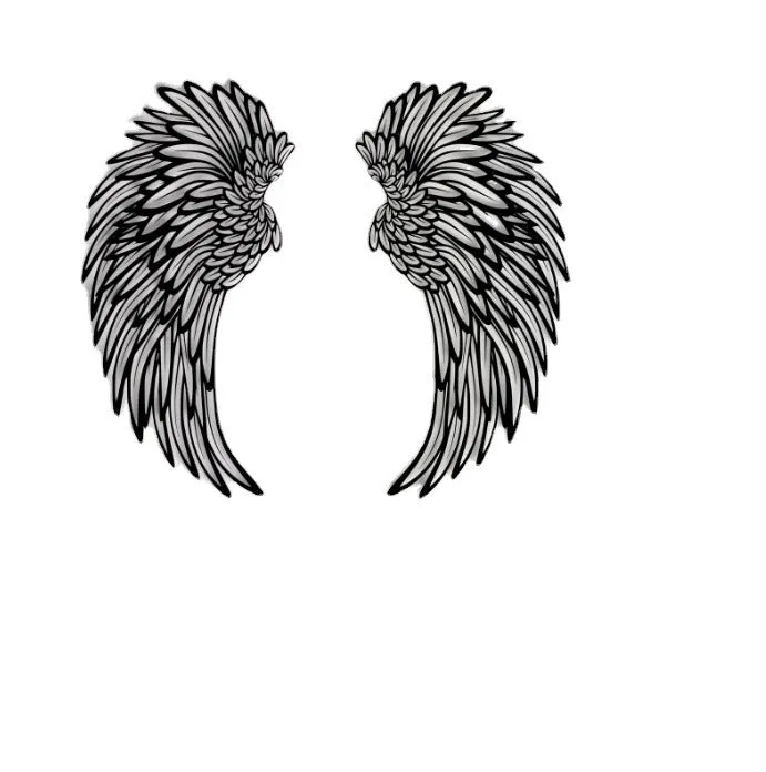 Carved metal wall decor with light, angel wings design, double-sided black iron, 35cm pair on a wall