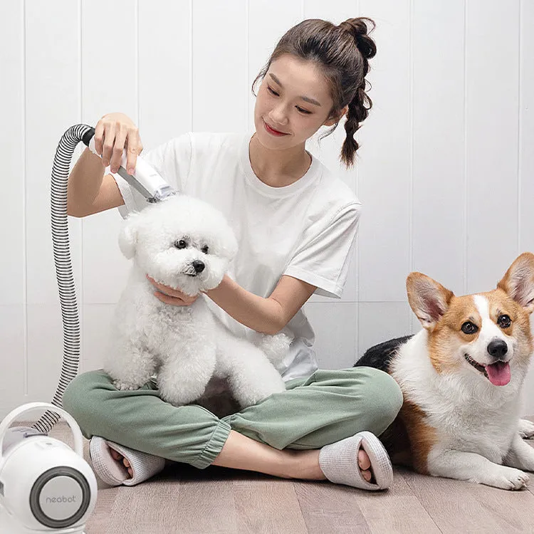 Pet grooming device on white background, ABS body, 290mm length, with trimming shears and massage comb accessories
