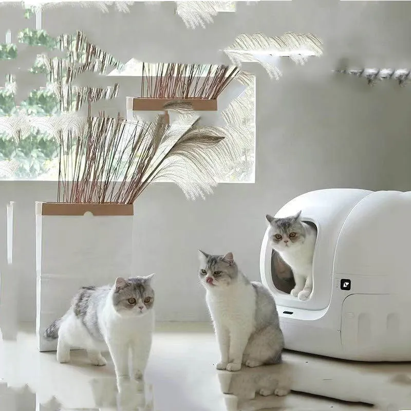 Smart MAX fully automatic cat litter box large electric self-cleaning enclosed in plastic, 620x538x552mm