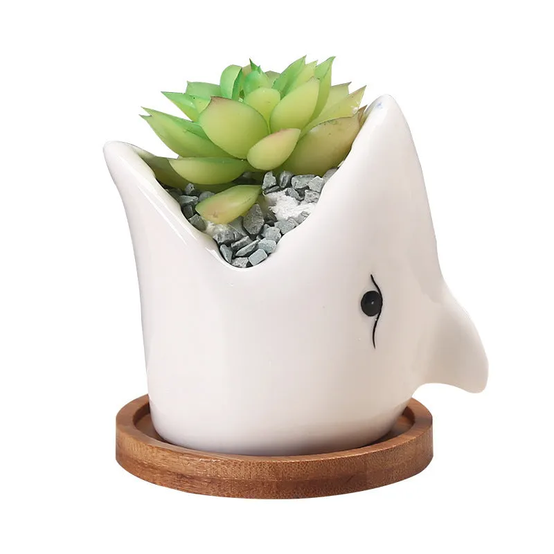 Creative cartoon ceramic succulent pot with drainage hole, blue colour, on a desk with a small succulent plant.