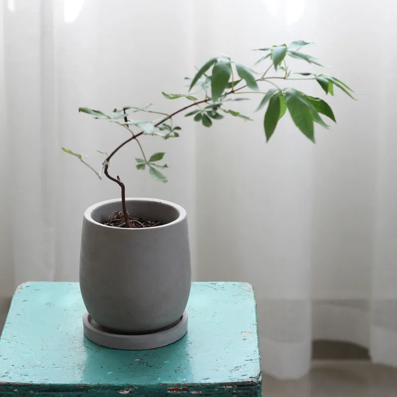 Round cement flower pot 11cm natural colour Chinese style desktop planter with tray