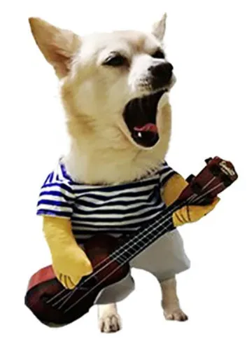 Pet dog wearing cartoon cowboy costume with hat, standing on grass