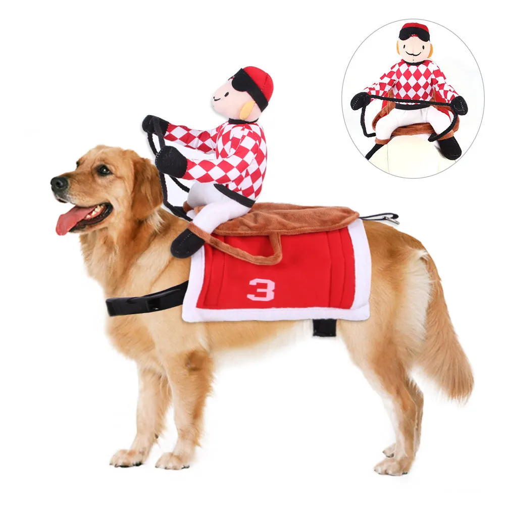 Pet dog wearing cartoon cowboy costume with hat, standing on grass