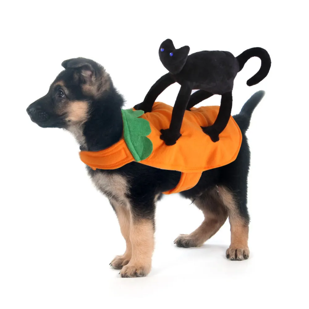 Pet dog wearing cartoon cowboy costume with hat, standing on grass