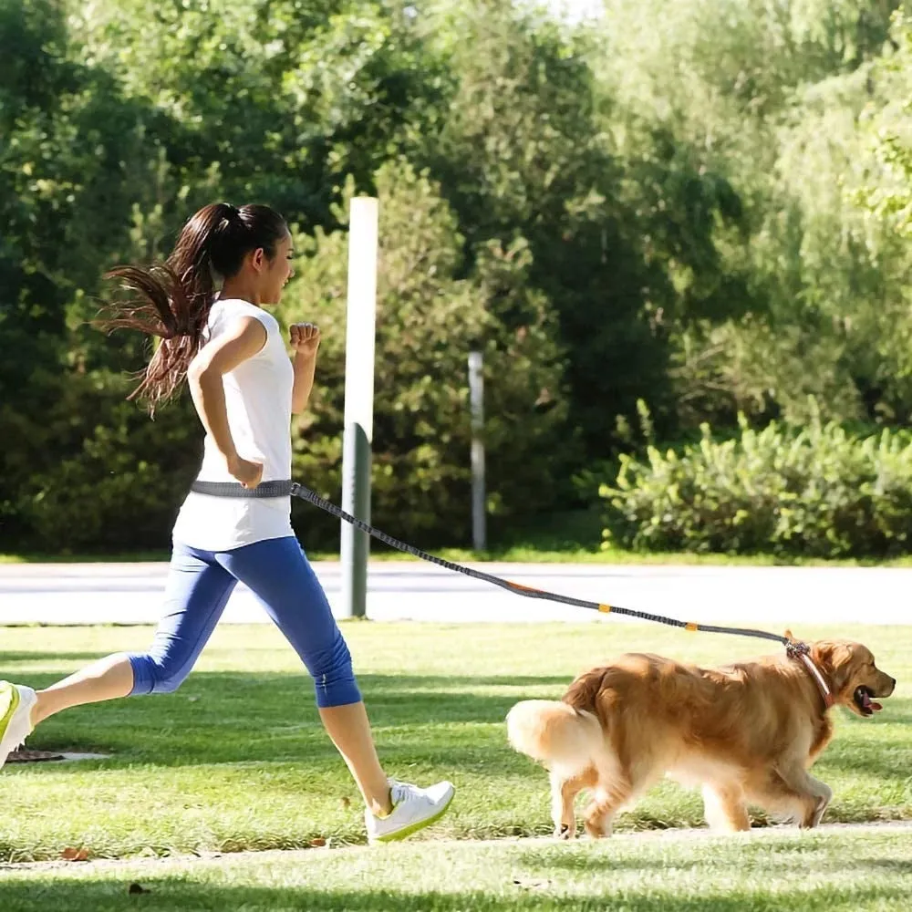 Adjustable nylon pet leash in fluorescent green, orange, and light blue on a white background