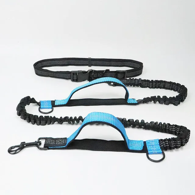Adjustable nylon pet leash in fluorescent green, orange, and light blue on a white background