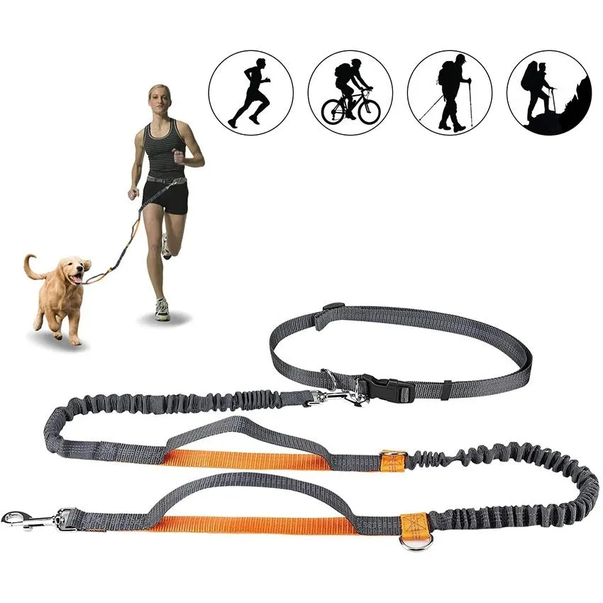 Adjustable nylon pet leash in fluorescent green, orange, and light blue on a white background