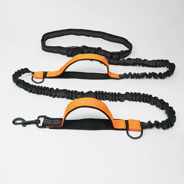 Adjustable nylon pet leash in fluorescent green, orange, and light blue on a white background