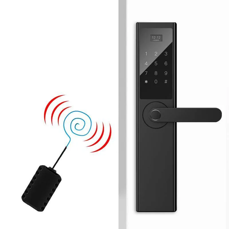 Home security door fingerprint lock with black finish and fingerprint sensor