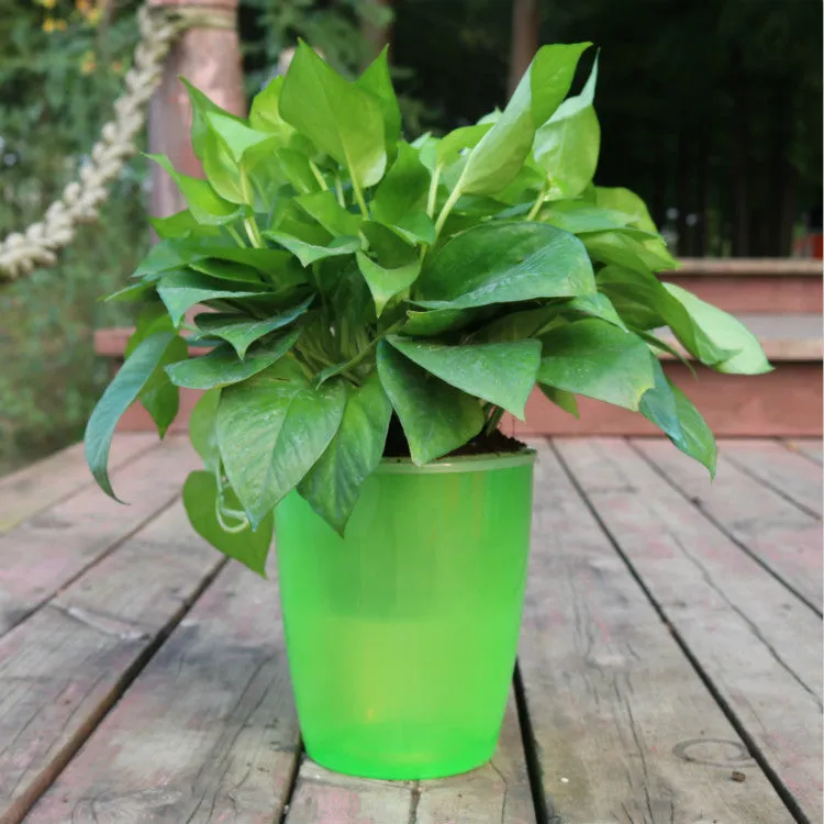 Strongwell Nordic automatic water-absorbing flower pot in translucent blue with cotton rope and planting basket