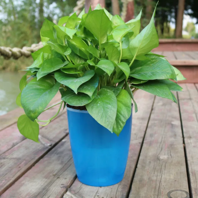 Strongwell Nordic automatic water-absorbing flower pot in translucent blue with cotton rope and planting basket