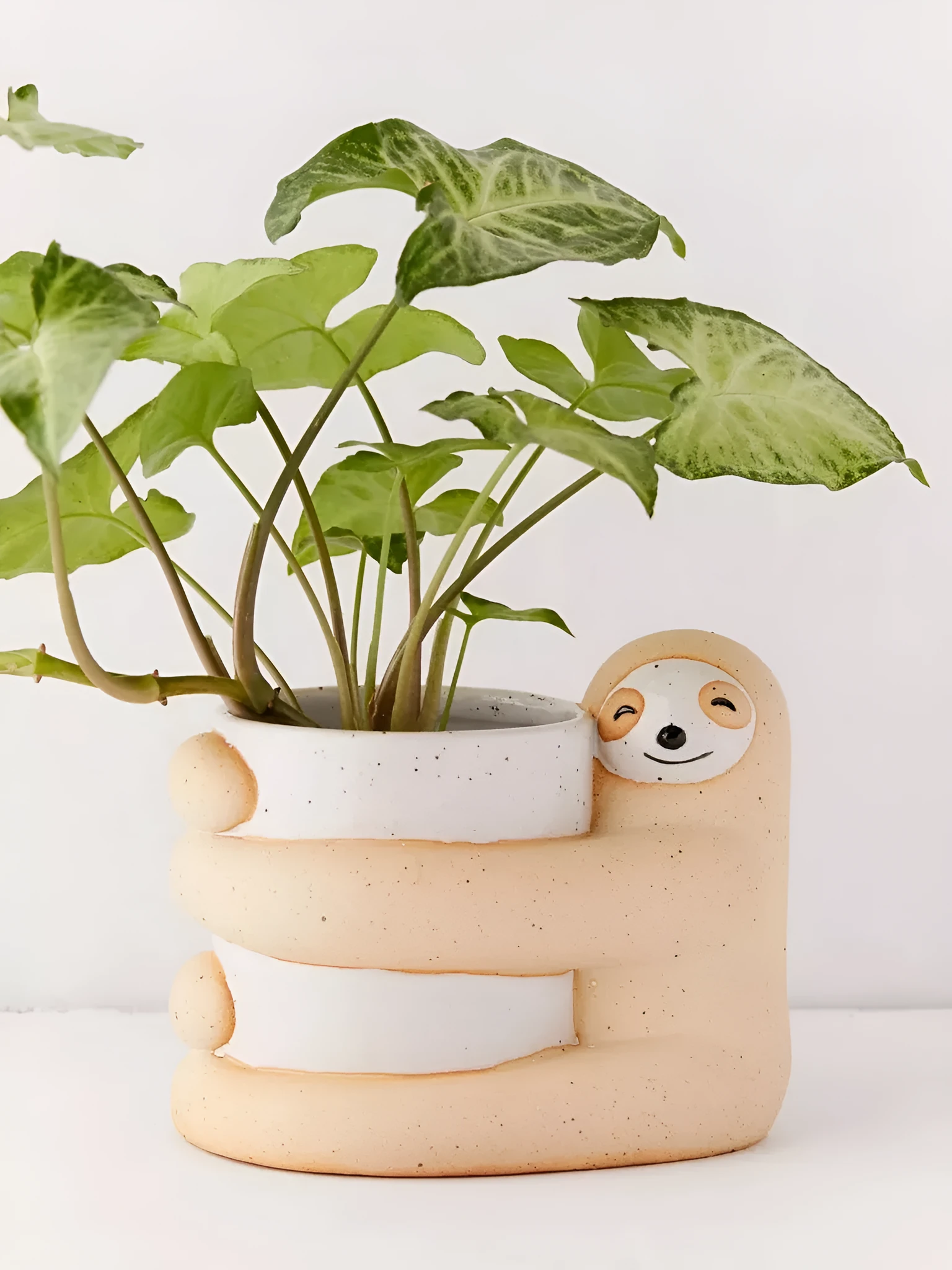 Green ceramic sloth plant pot medium size 9cm diameter on white background