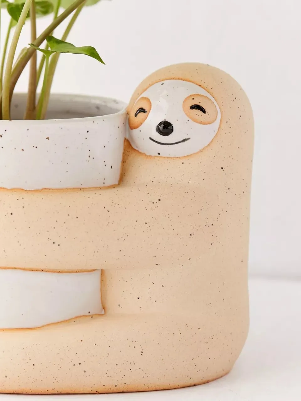 Green ceramic sloth plant pot medium size 9cm diameter on white background