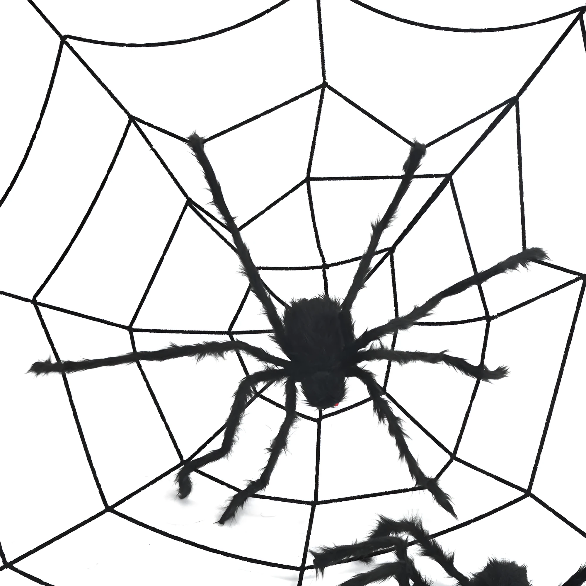 Halloween decoration set with 50cm black polyester spider and 3.6m white web circles