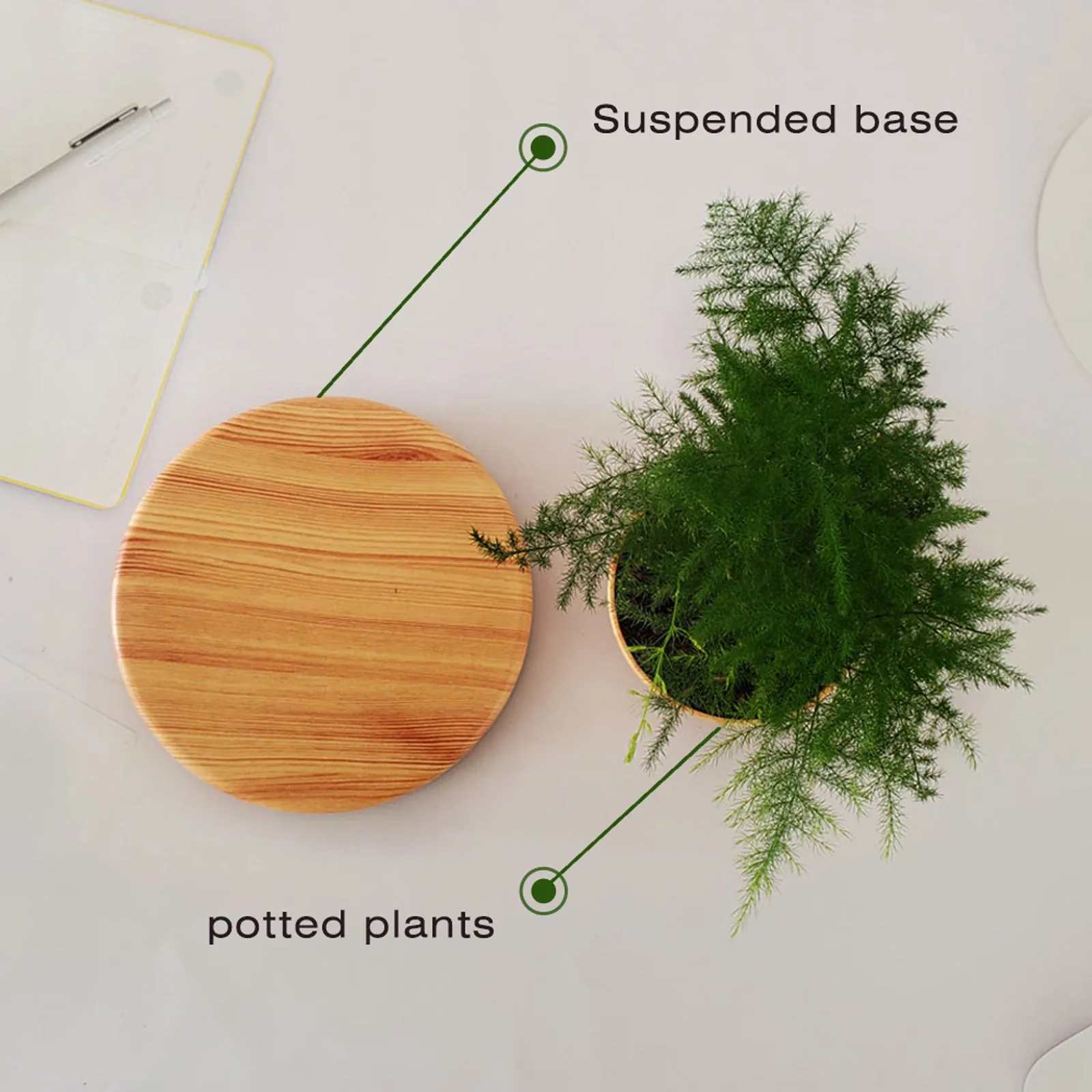 Maglev potted desktop ornament in light wood grain showing floating pot above base with UK plug
