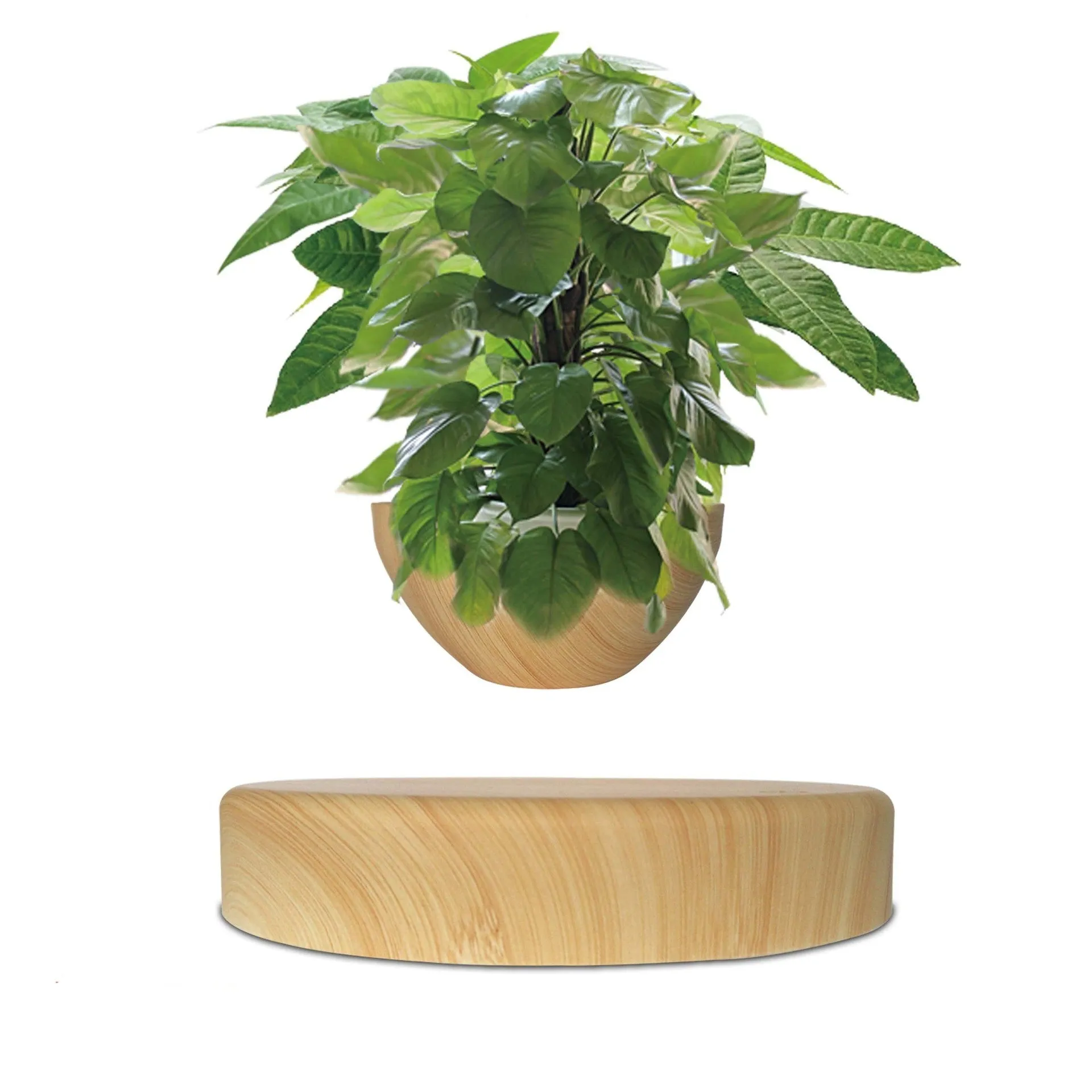 Maglev potted desktop ornament in light wood grain showing floating pot above base with UK plug